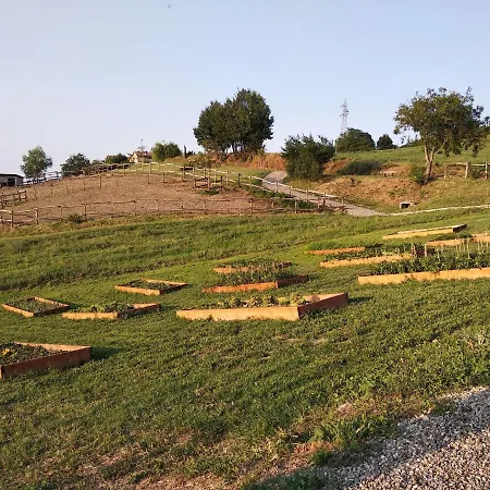 Tenuta I Musi Lunghi Lesignano de' Bagni
