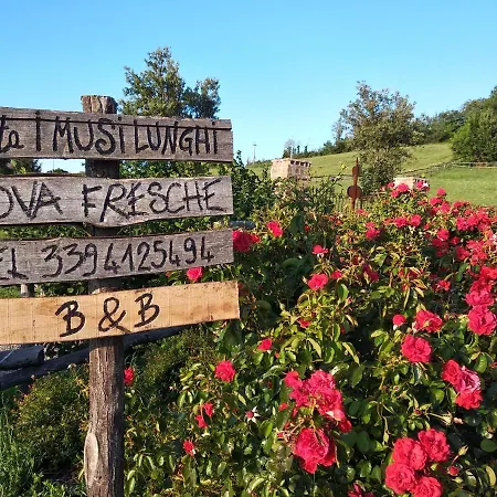 Tenuta I Musi Lunghi * Lesignano de' Bagni