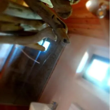 B&B Tenuta I Musi Lunghi