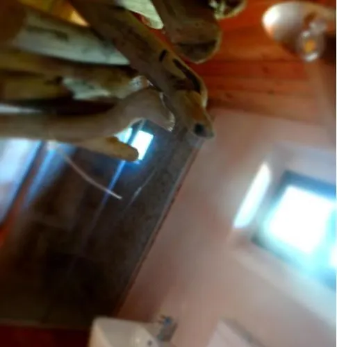 לינה וארוחת בוקר Tenuta I Musi Lunghi