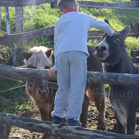 Tenuta I Musi Lunghi