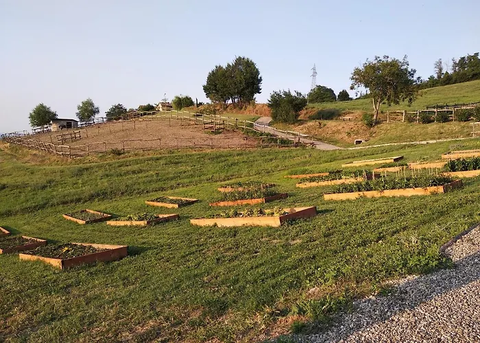 Tenuta I Musi Lunghi Lesignano de' Bagni