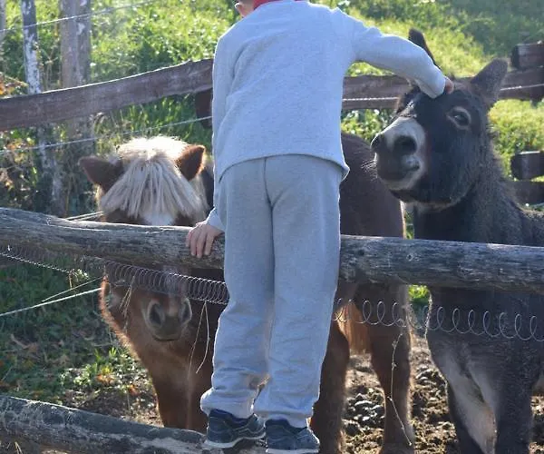 Tenuta I Musi Lunghi